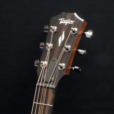 Taylor GT 811e_6