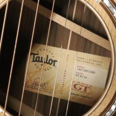 Taylor GT 811e_9