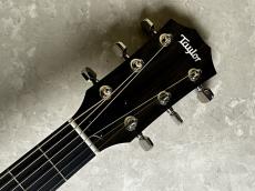 Taylor 214ce Plus RW/SP_6