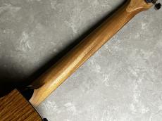 Taylor 214ce Plus RW/SP_9