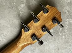 Taylor 214ce Plus RW/SP_10