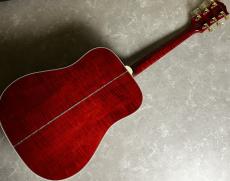 Gibson Doves In Flight_8