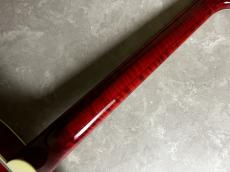 Gibson Doves In Flight_9