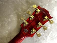 Gibson Doves In Flight_10