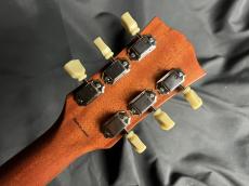 Tokai LS-STD w/BKP_10