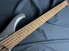 Ibanez EHB1005SMS_5