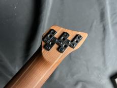 Ibanez EHB1005SMS_10