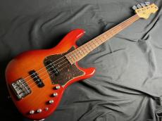 FREEDOM CUSTOM GUITAR RESEARCH RHINO-4 Ash/R_2