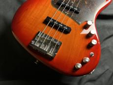 FREEDOM CUSTOM GUITAR RESEARCH RHINO-4 Ash/R_3