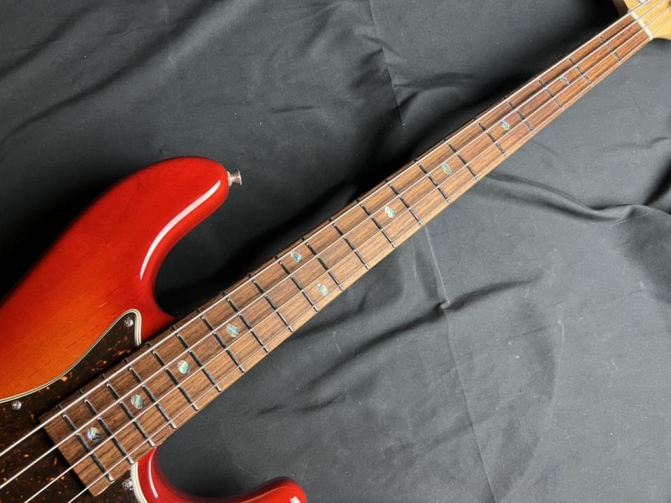 freedom rhino-4ケース付き FREEDOM CUSTOM GUITAR RESERCH RHINO 4st - メルカリ