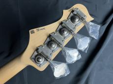 FREEDOM CUSTOM GUITAR RESEARCH RHINO-4 Ash/R_9