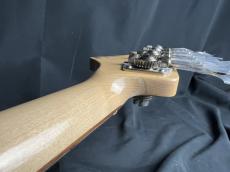 FREEDOM CUSTOM GUITAR RESEARCH RHINO-4 Ash/R_10