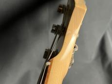 FREEDOM CUSTOM GUITAR RESEARCH RHINO-4 Ash/R_11