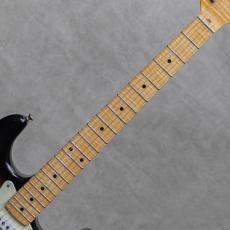 Fender Custom Shop Eric Johnson "Virginia" Stratocaster Master Built by Carlos Lopez / 2020_7