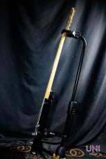Tokai ATE/M GS_6