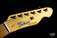 Tokai ATE/M GS_7