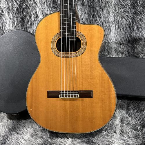 Takamine NPT315