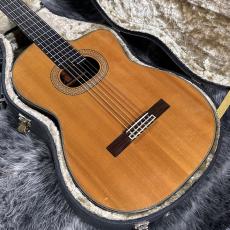 Takamine NPT315_2
