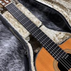Takamine NPT315_3