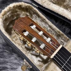 Takamine NPT315_4