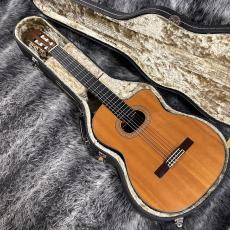 Takamine NPT315_5