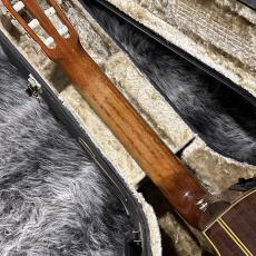 Takamine NPT315_7