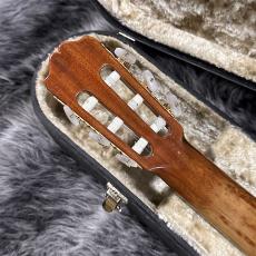 Takamine NPT315_8