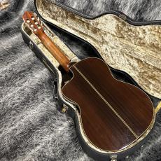 Takamine NPT315_9