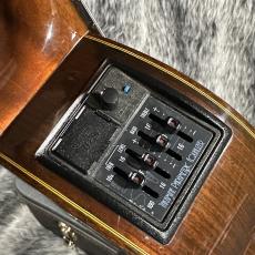 Takamine NPT315_10