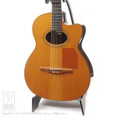 Bert Kwakkel Custom Steel Strings (Jacaranda)