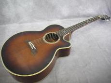 Takamine PT-106 BS_2