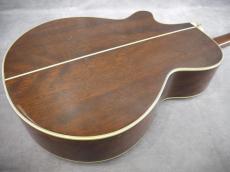 Takamine PT-106 BS_5