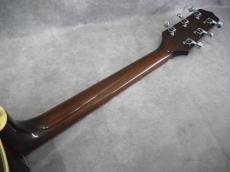 Takamine PT-106 BS_9