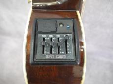 Takamine PT-106 BS_10