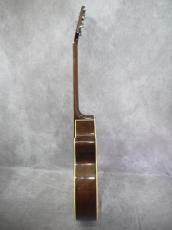 Takamine PT-106 BS_14