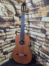 Jesus Bellido [へスス・べジード] ヘスス・ベジード 2025年製 杉 C Torres Body 630mm【日本総本店2F 在庫品】_2