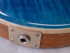 Paul Reed Smith [PRS] Custom24_6
