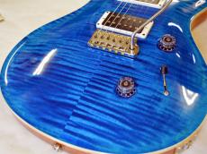 Paul Reed Smith [PRS] Custom24_8