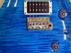 Paul Reed Smith [PRS] Custom24_11
