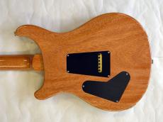 Paul Reed Smith [PRS] Custom24_14