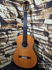 Juan Hernandez [ホアン・エルナンデス] ホアン・エルナンデス Profesor Flamenca Elec フラメンコ 黒 エレガット 松・ローズ【日本総本店2F 在庫品】