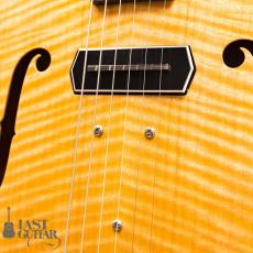 Shelley D Park Slimline Electric_4