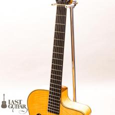 Shelley D Park Slimline Electric_5