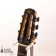 Shelley D Park Slimline Electric_6