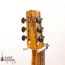 Shelley D Park Slimline Electric_7