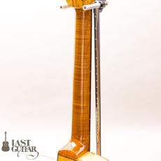 Shelley D Park Slimline Electric_8
