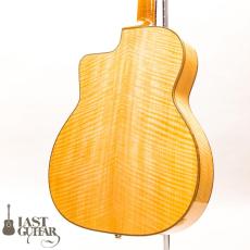 Shelley D Park Slimline Electric_9