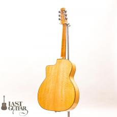 Shelley D Park Slimline Electric_12