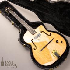 Shelley D Park Slimline Electric_13