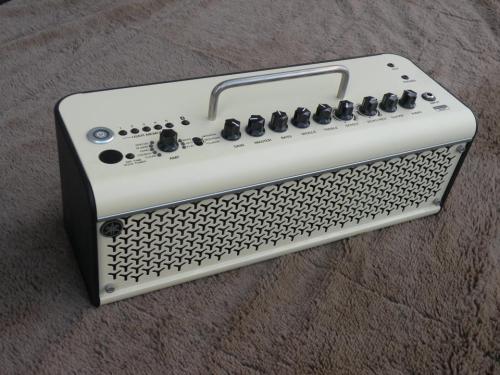 YAMAHA THR30Ⅱ+Line6Relay G10